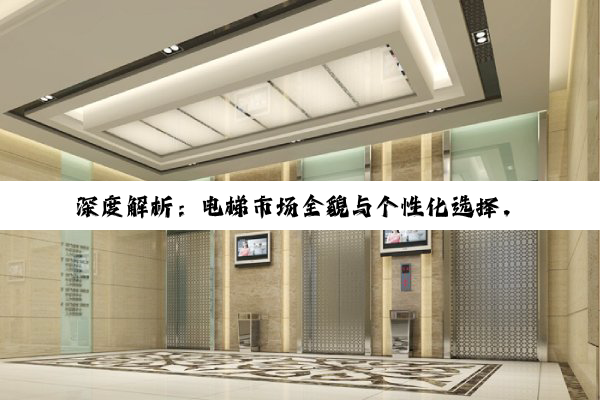 深度解析：电梯市场全貌与个性化选择，从高端商务到家用小型电梯的精准定价策略