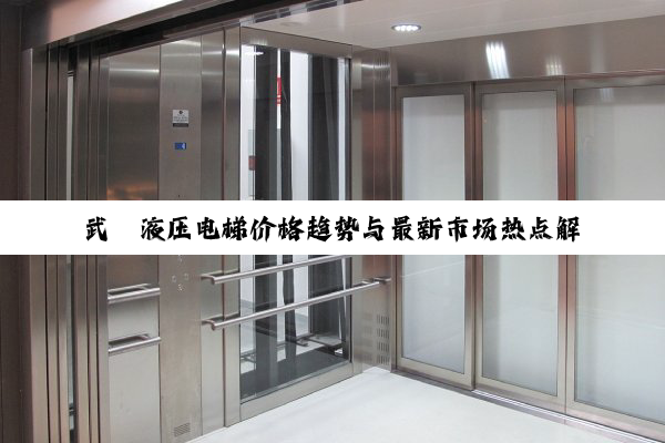 武陟液压电梯价格趋势与最新市场热点解析