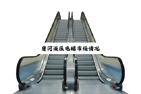 唐河液压电梯市场情况