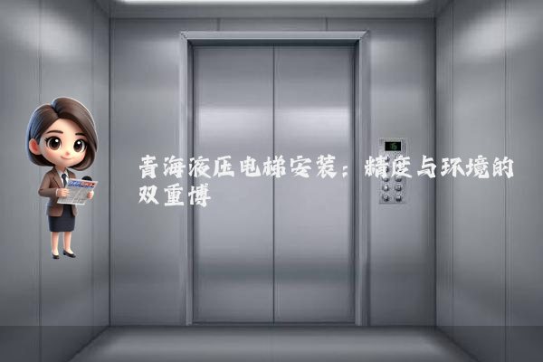 青海液压电梯安装:精度与环境的双重博弈